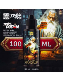 Potion Gandalf 100 ml – 0 mg Nikotin | Tribal Potion – Tribal Force