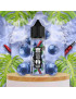 Blue Mist 50 ml – 0 mg Nikotin | Hookah Juice – Tribal Force