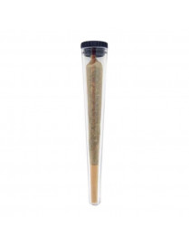 Pré-roll CSA Sunset Sherbet – Jok’Air | Puissance 5 sur 5 | 10 % CBD