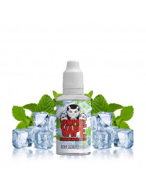 Concentré Ice Menthol 30 ml – Vampire Vape