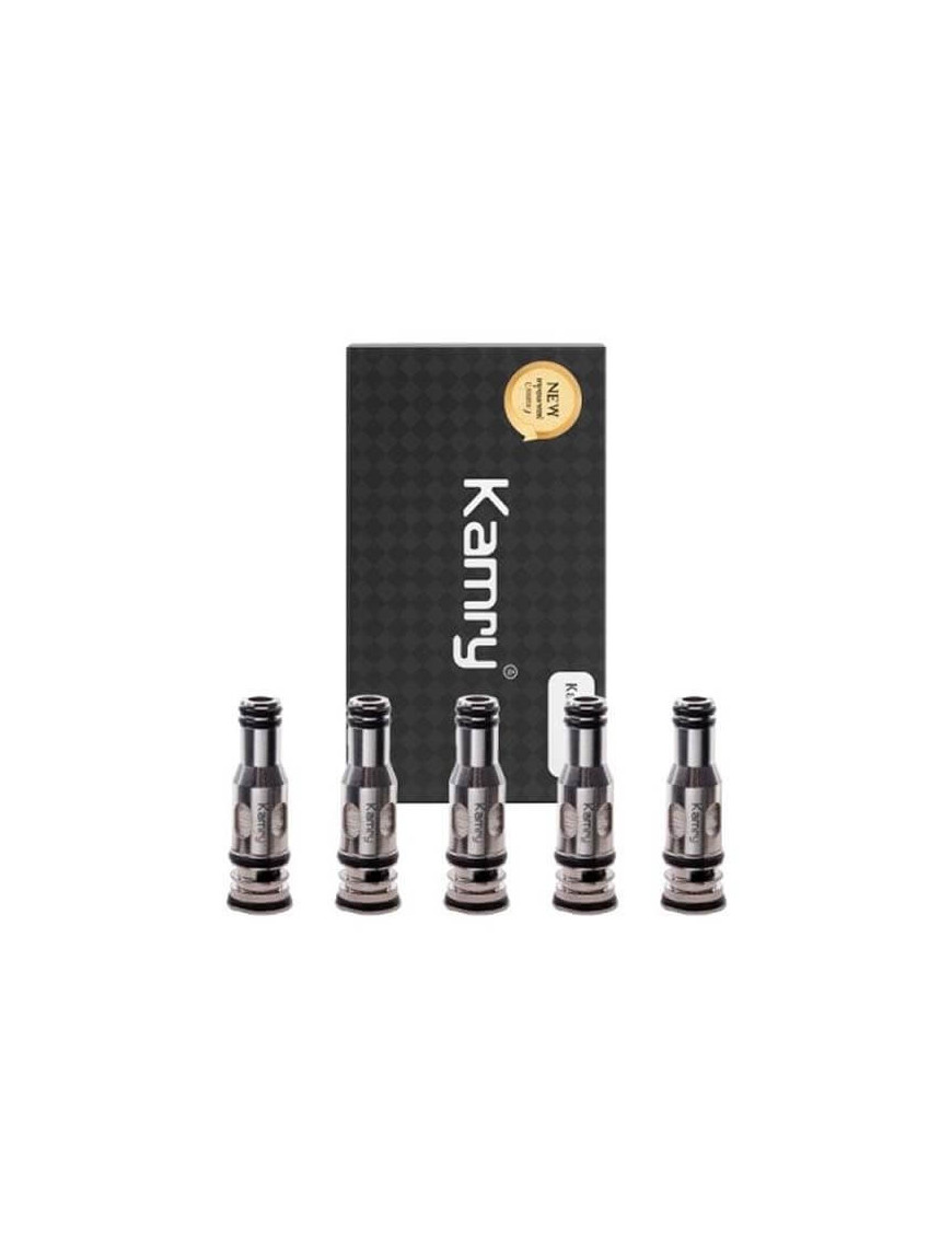 Résistances P6 0.5 Ω (5 pcs) – Kamry