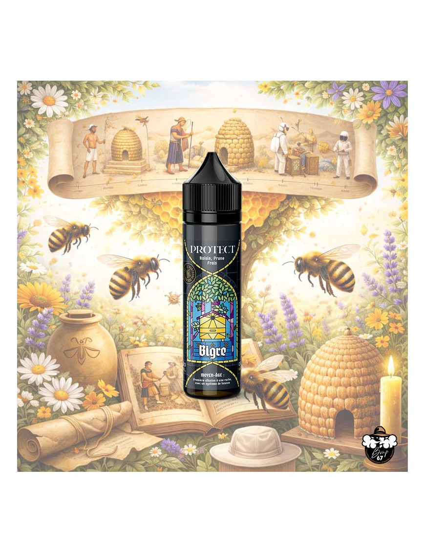 Bigre 50 ml – E‑liquide Raisin Prune Frais – Mellifère Protect