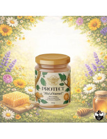 Eichhörnchen-Honig 250 g – Protect – Honig mit Haselnuss