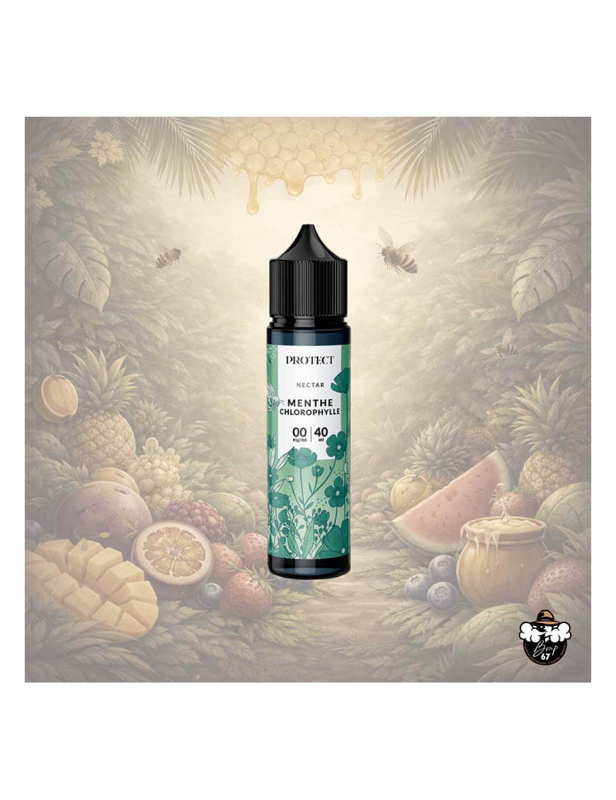 Menthe Chlorophylle 40ml 0 mg – Protect | Nectar 50/50