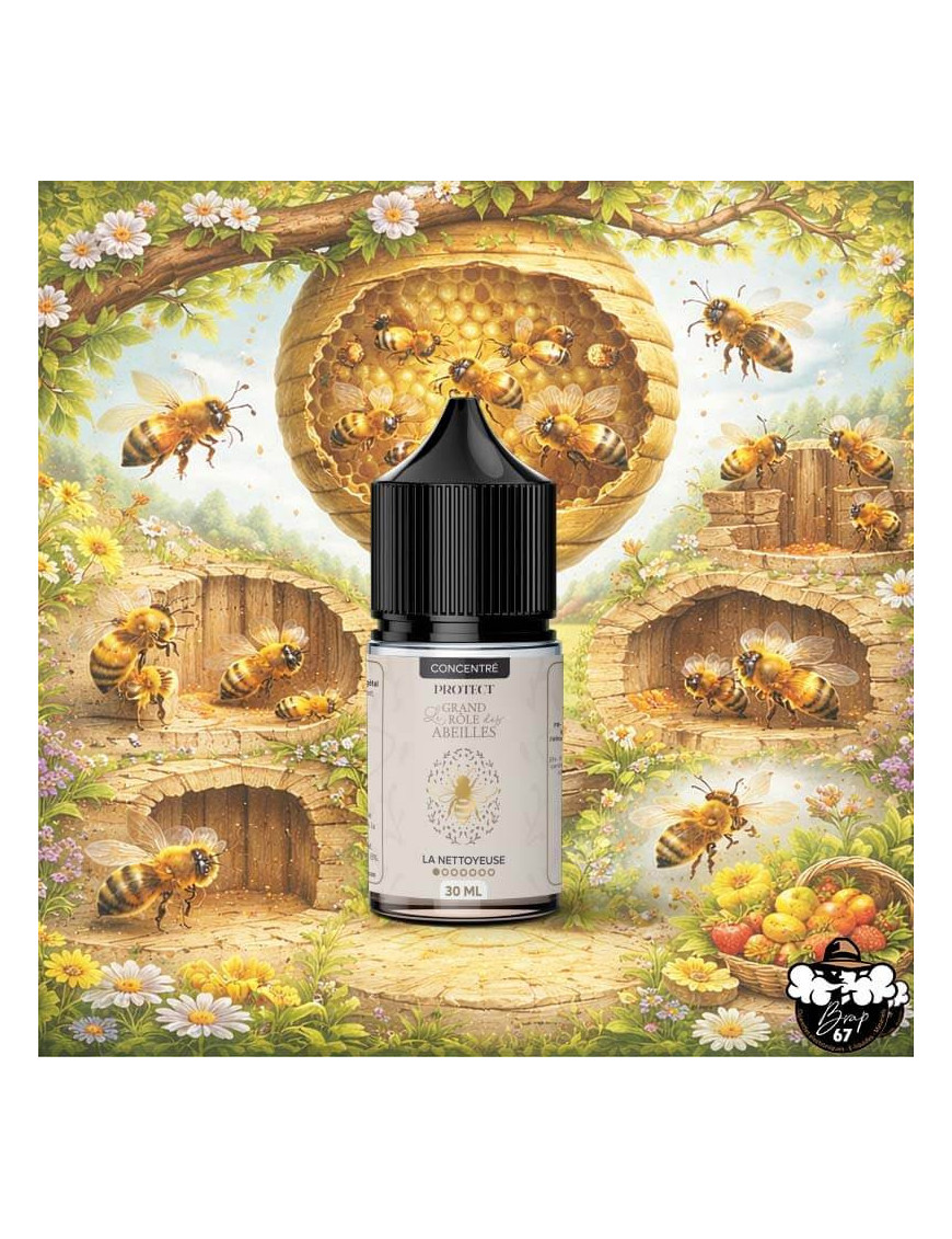 Concentré La Nettoyeuse 30ml Protect DIY