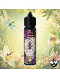 La Fourmi 50ml Protect 0mg