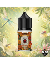 Konzentrat La Coccinelle Ozone 30ml DIY