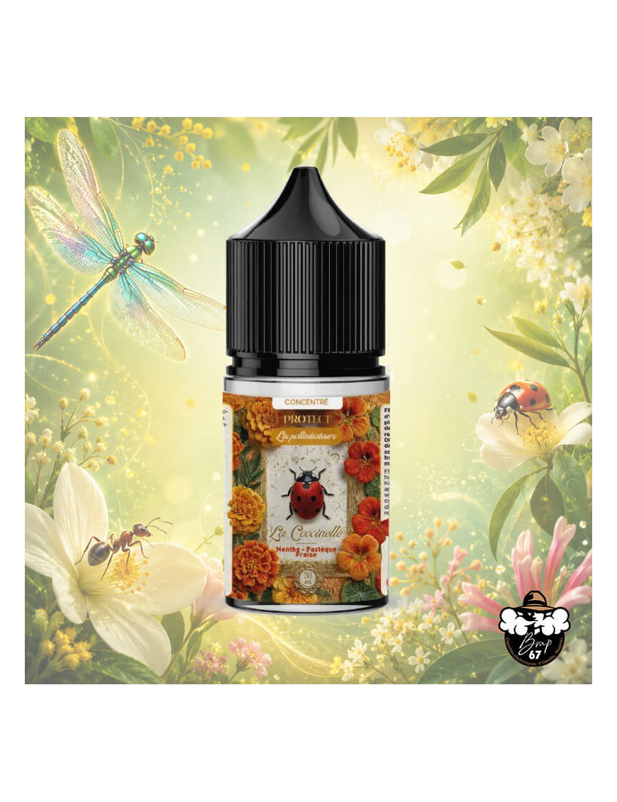 Konzentrat La Coccinelle Ozone 30ml DIY
