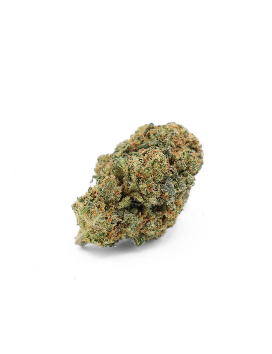 Blue Dream 10% CSA, Fleur de chanvre