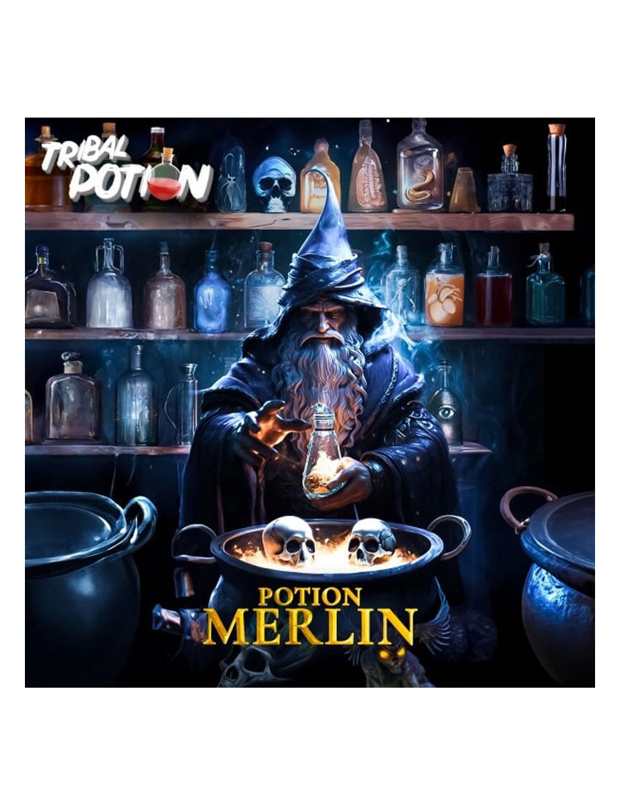 Potion Merlin (Veilchen/Drachenfrucht/Granatapfel/Limonade) 0mg 50ml - Tribal Potion - Tribal Force | Florales und fruchtiges E-