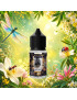 Concentré La Chauve-Souris 30ml - Protect