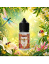 Concentré La Guêpe 30ml - Les Pollinisateurs - Protect