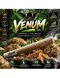 Venum Pre-Roll | Premium-Blüten & 3-fach gefiltert