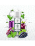 Monster Purple 0 mg 50 ml – Flavor Hit Essentials Menthols