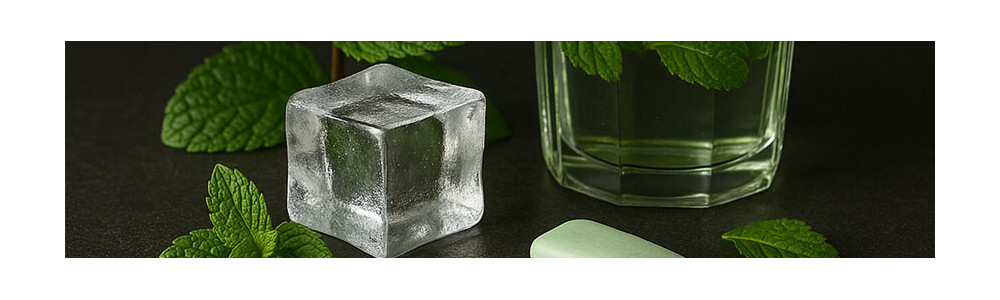 E-Liquids Menthol – Frische & kühle Aromen, mit oder ohne Nikotin