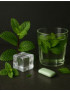 Frische Aromen