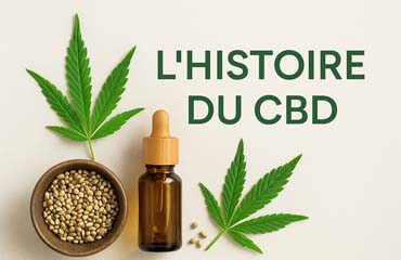 L’histoire du chanvre et du CBD